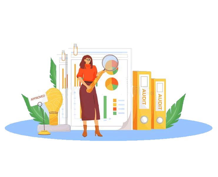 PUBLIC SECTOR AUDIT & ACCOUNTING SERVICES